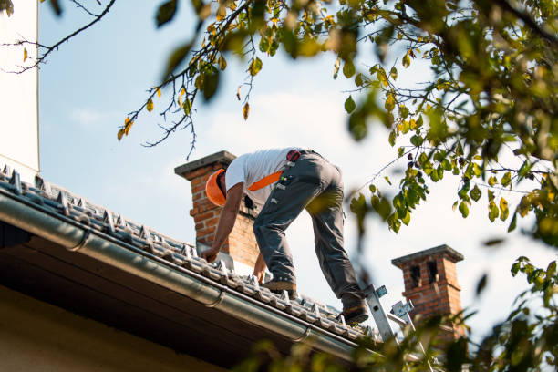 Best Residential Roofing Contractor  in East Lansing, MI