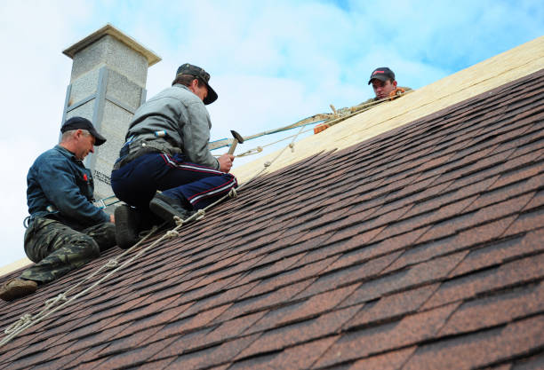 Best Roof Gutter Cleaning  in East Lansing, MI